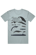 Whale Watchin