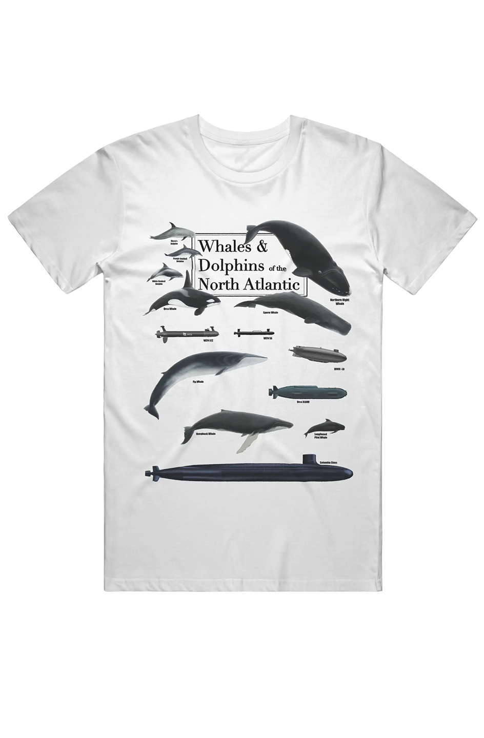 Whale Watchin